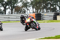 Lower Group Multicolour Bikes